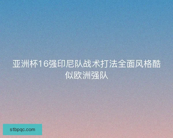 亚洲杯16强印尼队战术打法全面风格酷似欧洲强队